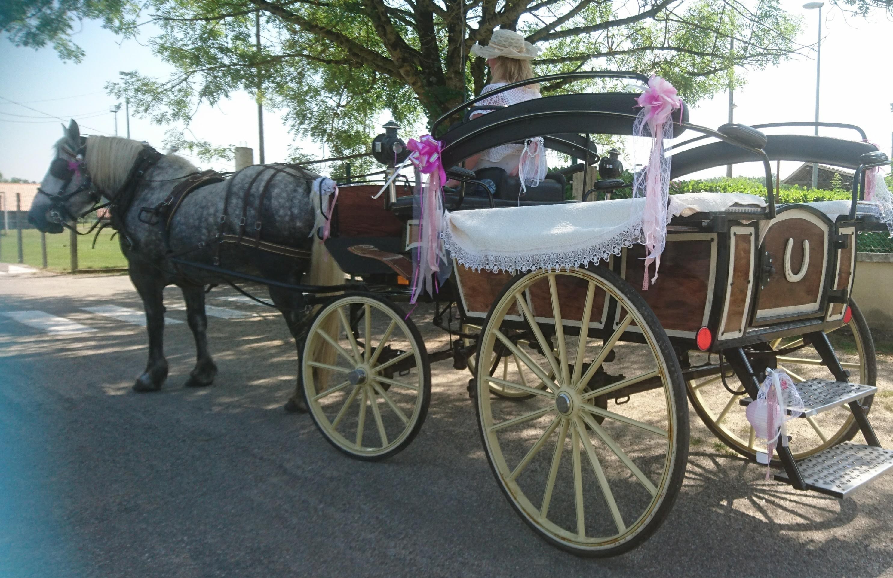 Location de calèches mariage, anniversaire, fêtes, manifestations, évènements